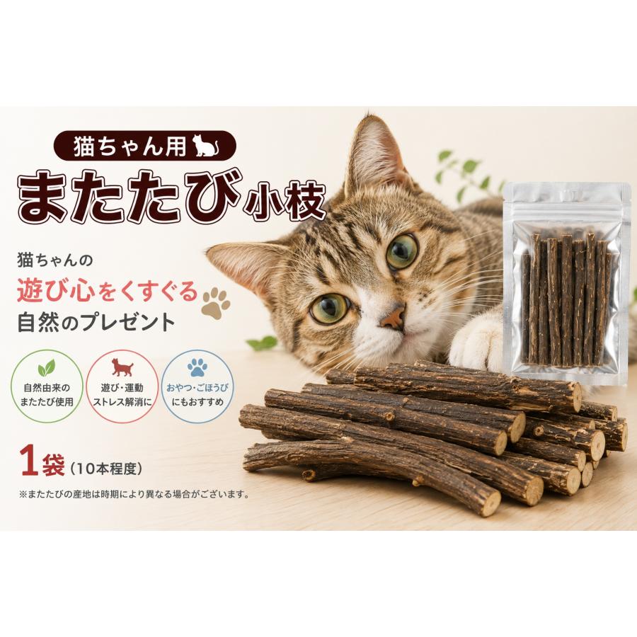即納 猫用天然またたびスティック またたびの小枝 またたび マタタビ