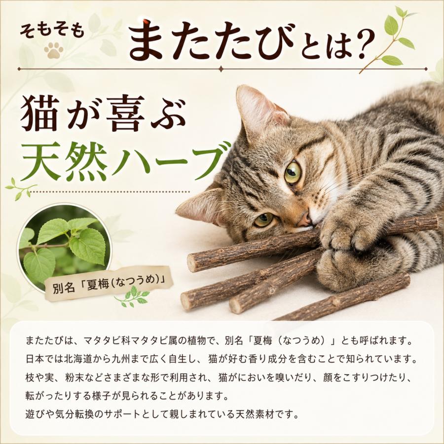 即納 猫用天然またたびスティック またたびの小枝 またたび マタタビ