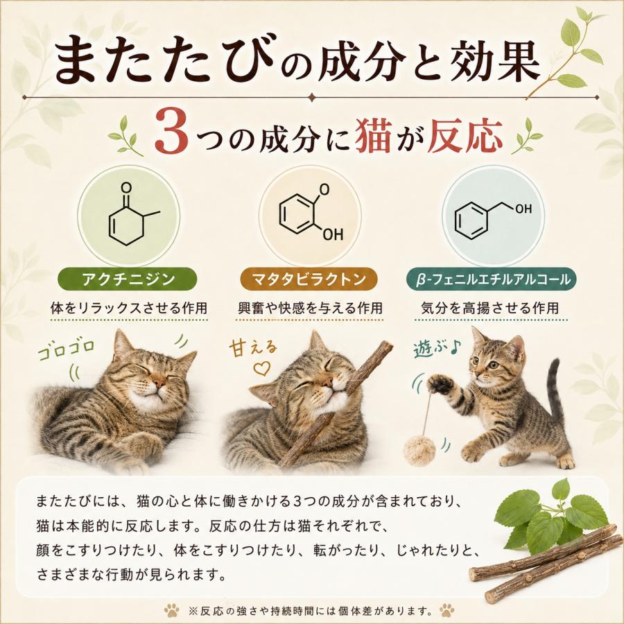 即納 猫用天然またたびスティック またたびの小枝 またたび マタタビ