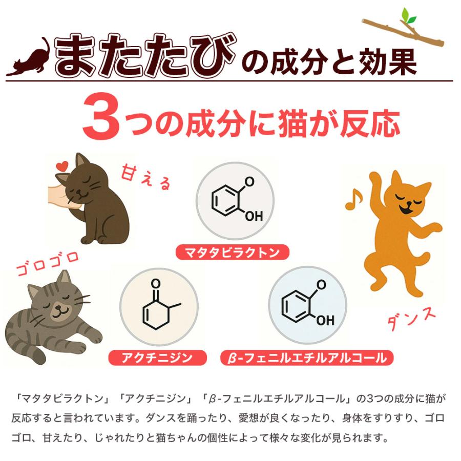 即納 猫用天然またたびスティック またたびの小枝 またたび マタタビ