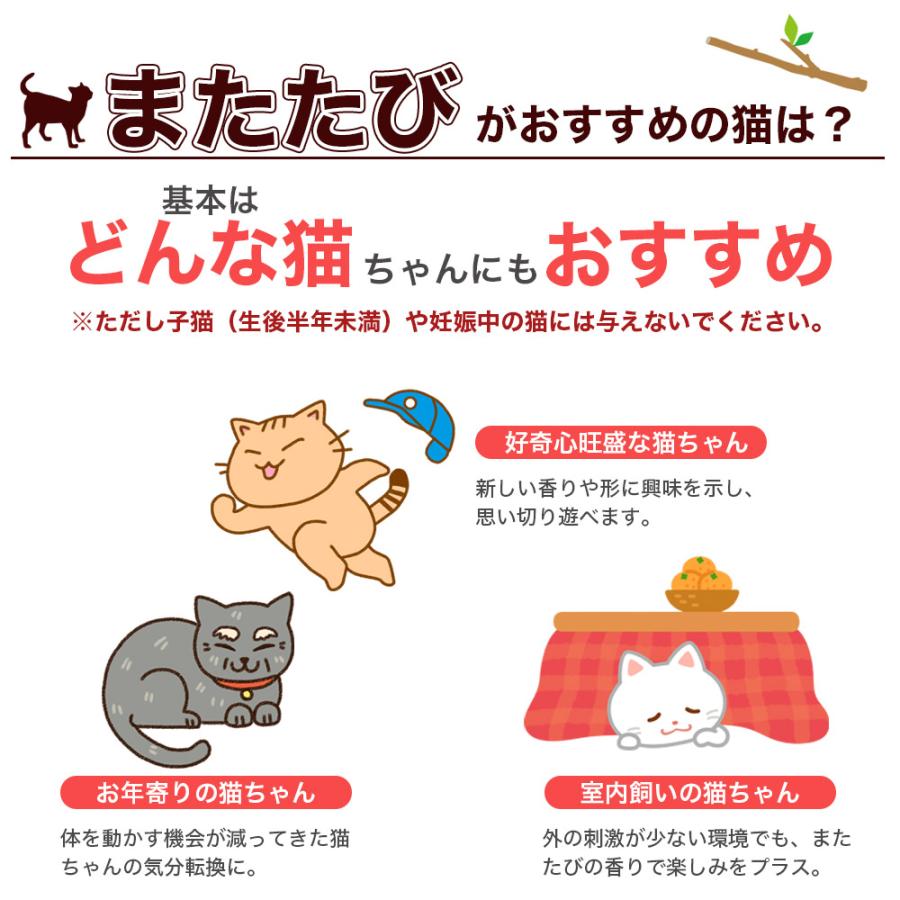 即納 猫用天然またたびスティック またたびの小枝 またたび マタタビ