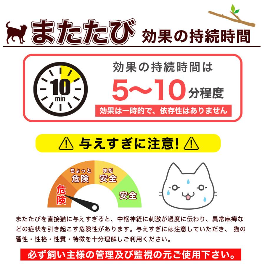 即納 猫用天然またたびスティック またたびの小枝 またたび マタタビ