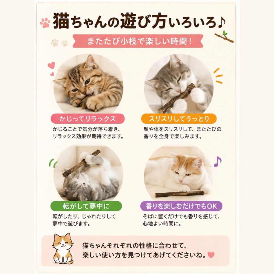 即納 猫用天然またたびスティック またたびの小枝 またたび マタタビ