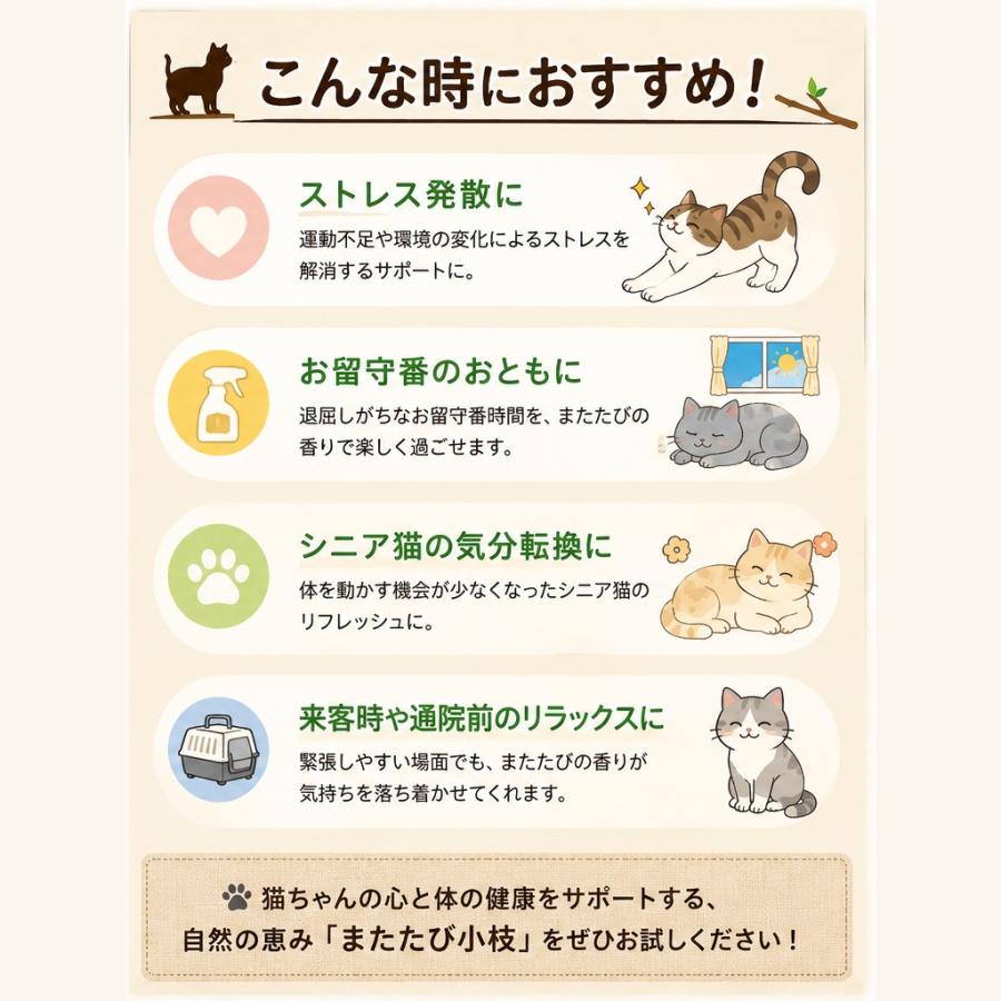 即納 猫用天然またたびスティック またたびの小枝 またたび マタタビ