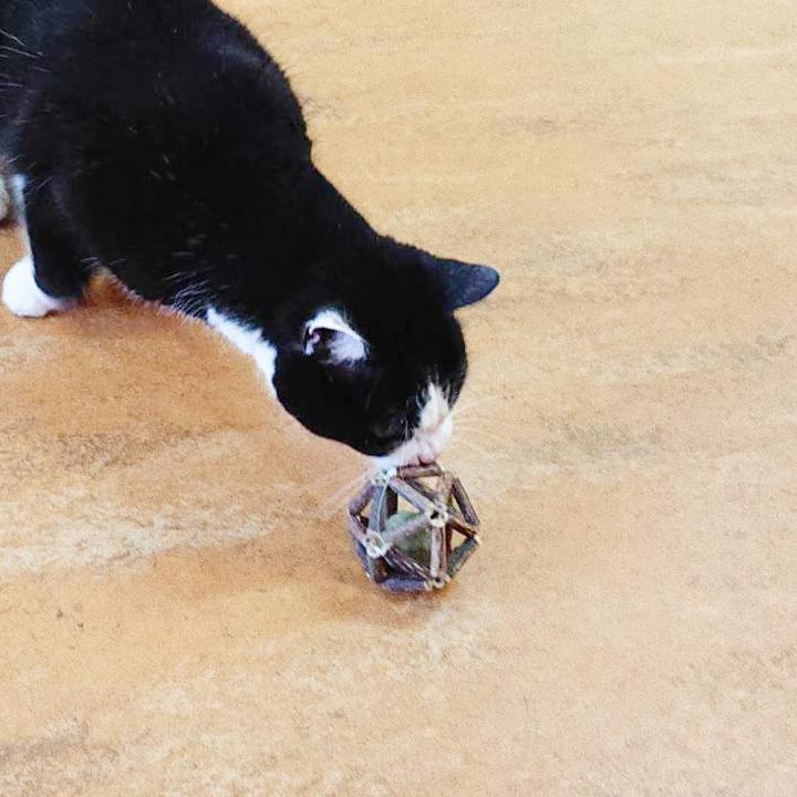 即納 猫おもちゃ またたび ボール 猫 噛むおもちゃ 木 天然安全 子猫