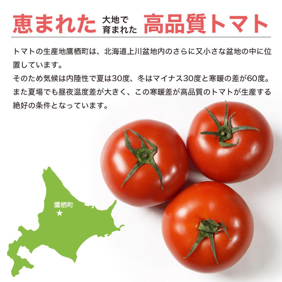 トマトジュース 北海道 鷹栖町 完熟トマト 1000ml 12本セット 果汁100