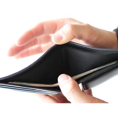 ツイスト（LOUIS VUITTON） 財布 二つ折り財布 二つ折り 革 メンズ