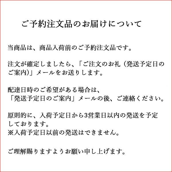 PRO（まめいた） ペンケース 革 日本製 ルポペンケース 正規品