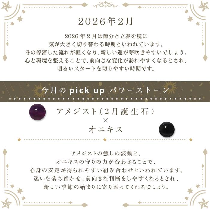 パワーストーン ブレスレット 天然石 2月限定 月替わり ラッピング無料 説明書付き ブレス メンズ レディース メール便送料無料 |  | 05
