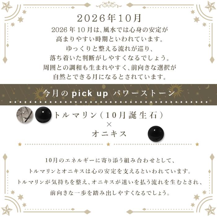 パワーストーン ブレスレット 天然石 10月限定 月替わり ラッピング無料 説明書付き ブレス メンズ レディース メール便送料無料 |  | 05