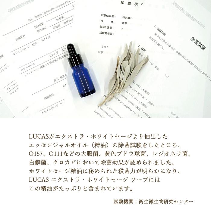 爆買ウルトラSALE  メール便送料無料 パワーストーン ルカス LUCAS エクストラ ホワイトセージ ソープ 石鹸 石けん 全身浄化用石けん 天然石 |  | 06