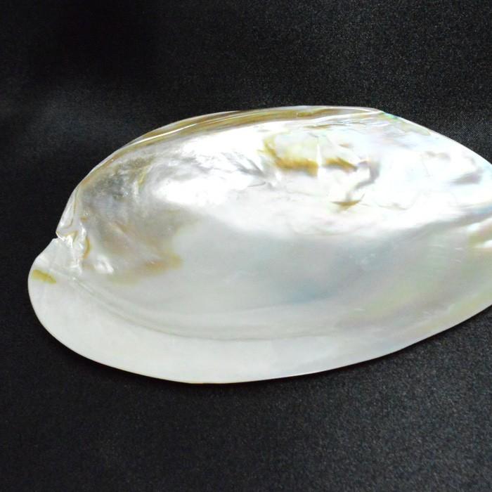 パワーストーン パールシェル プレート 天然貝殻 セージ香皿 天然石 父の日 He5344 天然石 パワーストーン Cocoro堂 通販 Yahoo ショッピング