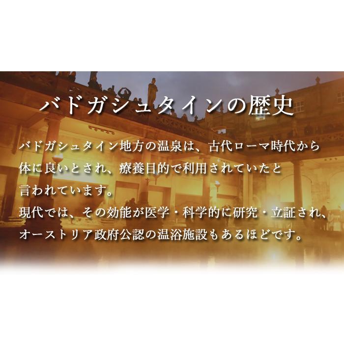 パワーストーン ブレスレット オーストリア産 バドガシュタイン 約8mm玉 天然石の画像