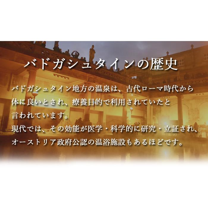 パワーストーン ブレスレット オーストリア産 バドガシュタイン 約10mm玉 天然石の画像