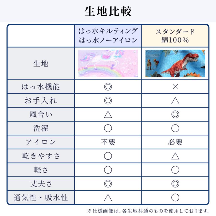 入園入学セット 安心マチ付き5点セット 人気柄ラインナップ レッスンバッグ シューズケース 男の子 カラフルキャンディスタイル｜ccstyle｜14