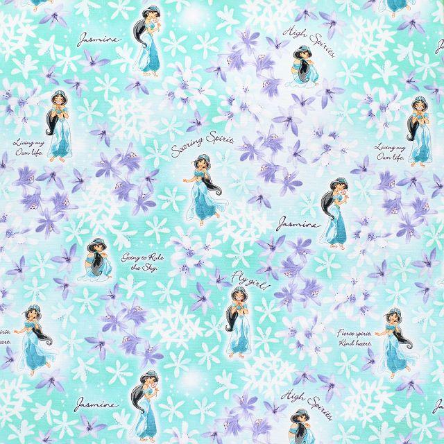 Disney ディズニー レッスンバッグ マチ付き Jasmine Aladdin