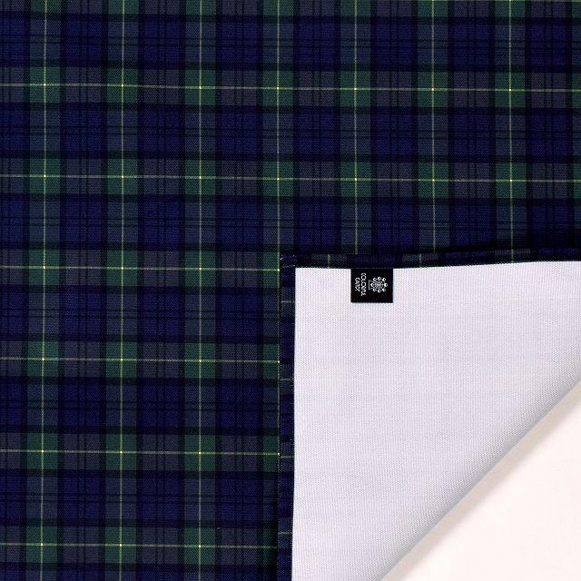 レジャーシート 2〜3人用 90cm×120cm はっ水・軽量タイプ タータンチェック・ダークグリーン 幼稚園 大きい 子供 遠足 コンパクト | ブランド登録なし | 02