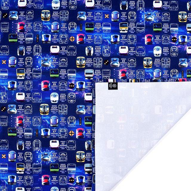 レジャーシート 2〜3人用 (90cm×120cm)  撥水・軽量タイプ 電車の顔コレクション ※JR東日本商品化許諾済 | ブランド登録なし | 02