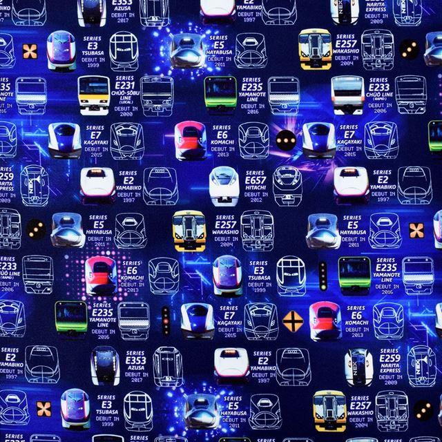 リュックサック(チェストベルト付き) リフレクター付き 撥水タイプ 電車の顔コレクション 小学生 キッズ 通園 子供 かわいい 遠足リュック | COLORFUL CANDY STYLE | 11