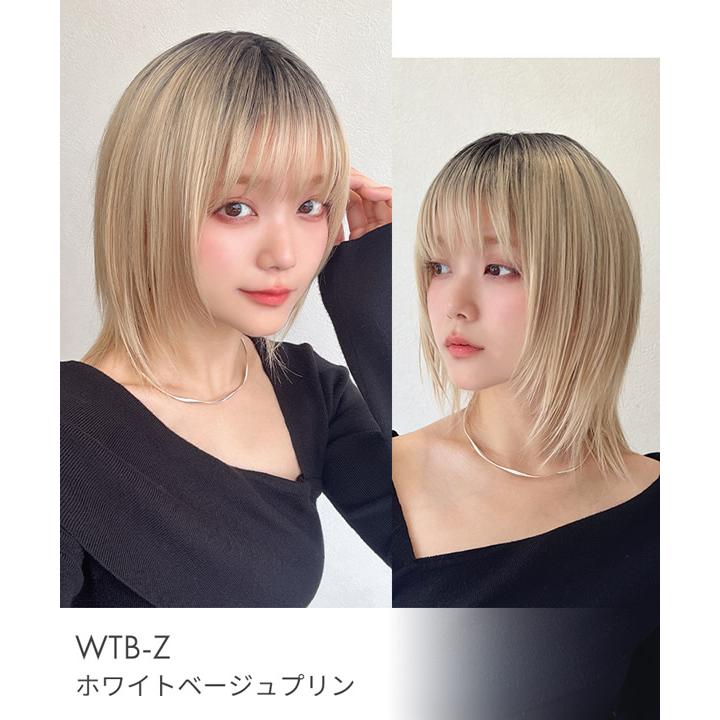 11万円相当！ウィッグ14点セット　アクアドール　BARSDAR 11相当！ウィッグ14点セット アクアドール BARSDAR