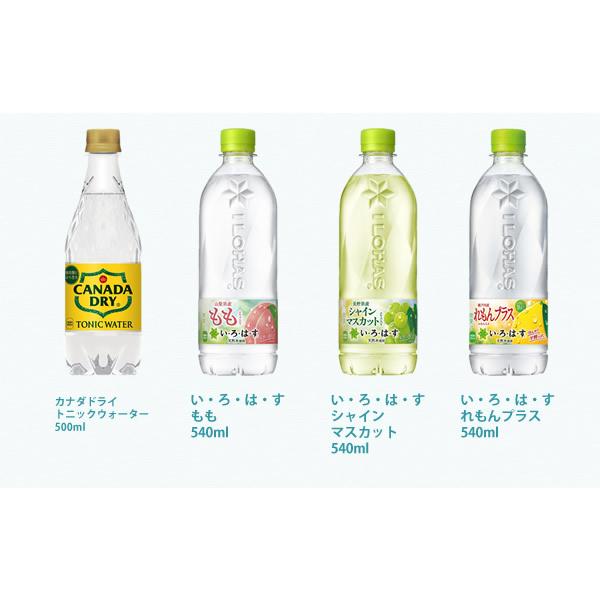 Coca Cola（コカコーラ） コカコーラ社 500mlペット×48本(24本×2ケース