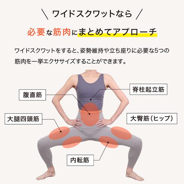 ワイドスクワットホッパー (送料無料) スクワット 筋トレ エクササイズ