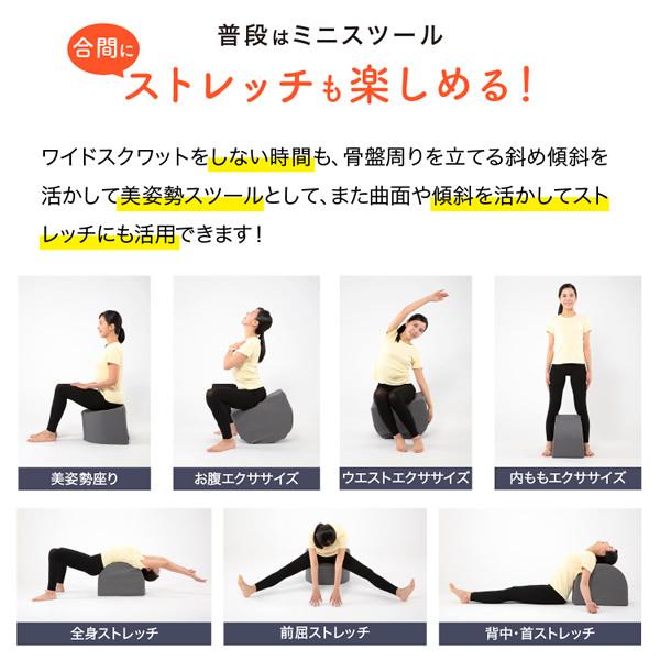 ワイドスクワットホッパー (送料無料) スクワット 筋トレ エクササイズ