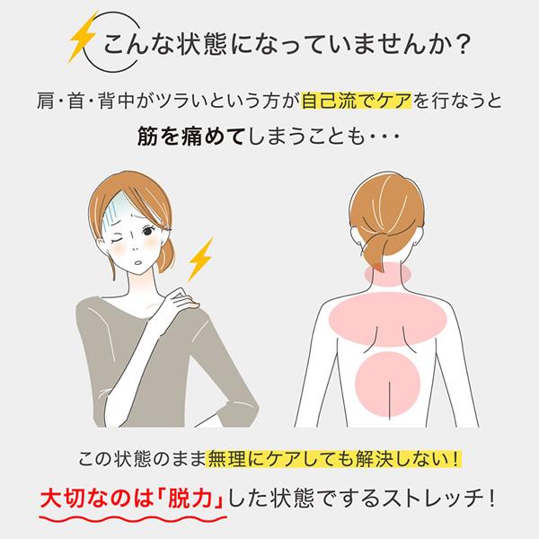 PROIDEA（プロイデア） ストレッチパートナー ハグスフィア (送料無料