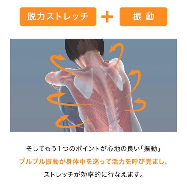 PROIDEA（プロイデア） ストレッチパートナー ハグスフィア (送料無料