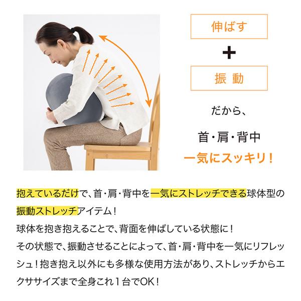 PROIDEA（プロイデア） ストレッチパートナー ハグスフィア (送料無料