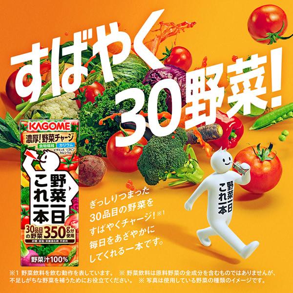 カゴメ 野菜一日これ一本 200ml×48本 (24本×2ケース) (送料無料) KAGOME 紙パック 野菜ジュース 食物繊維 カリウム カルシウム ビタミンA リコピンの画像