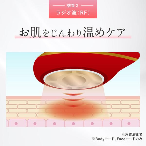 セルクラッシュ CAVI 選べるおまけ付き セルクラッシュCAVI 正規品/一年保証 (送料