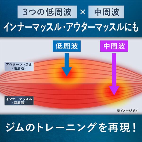 選べるおまけ付き ティップシェイププロ (送料無料) 軽量 小型 EMS