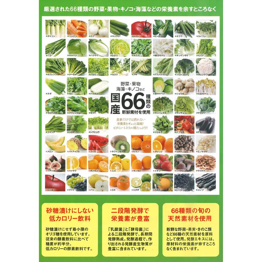 健美麗（けんびれい）植物エキス発酵液 720ml (送料無料) 酵素ドリンク 植物エキス発酵液 健美麗 720ml (送料無料) 酵素ドリンク 発酵