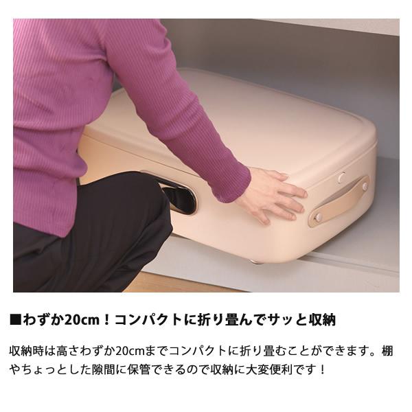 スチームワードローブ Relicia レリシア (送料無料) スチームアイロン