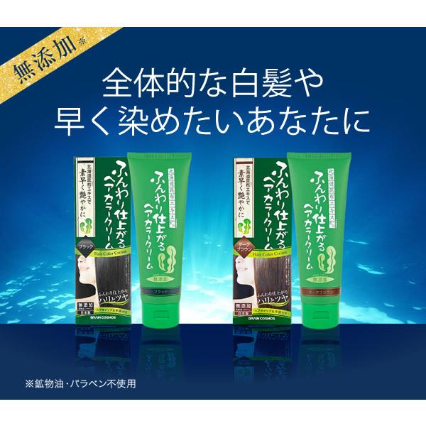 ブレーンコスモス ふんわり仕上がるヘアカラークリーム 200g (全国一律
