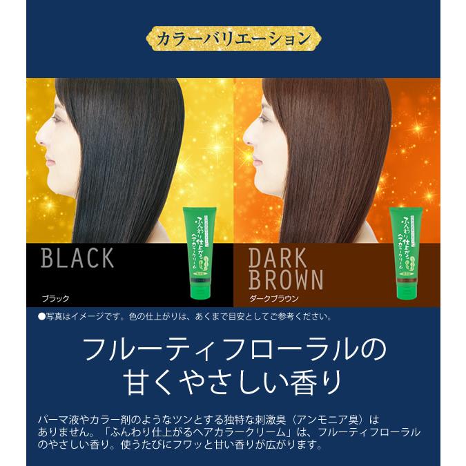 ブレーンコスモス ふんわり仕上がるヘアカラークリーム 200g (全国一律