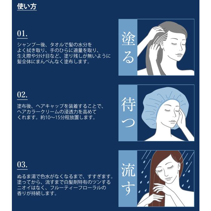 ブレーンコスモス ふんわり仕上がるヘアカラークリーム 200g (全国一律