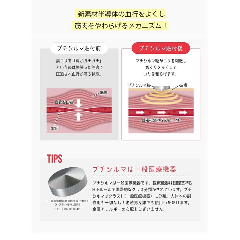 レダ（Leda） Dr.プチシルマ DX 5.5 LSi14 6粒 (メール便送料無料
