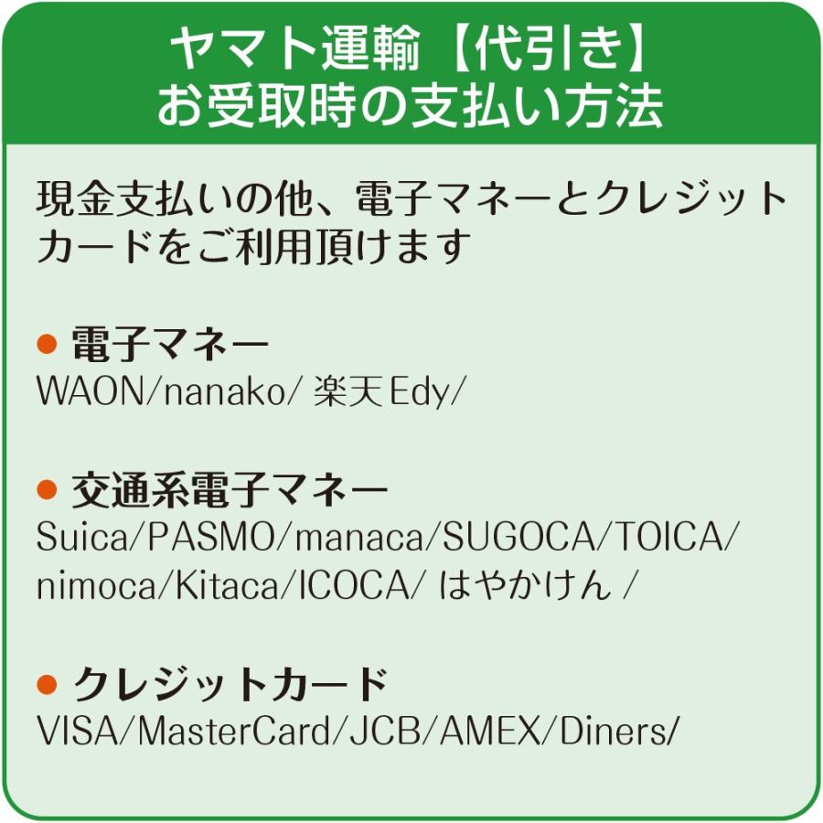 ハーゲンダッツギフト券 2枚 のし紙付き ハーゲンダッツ ギフト券 名入れ プレゼント のし紙サービス 印刷代込 |  | 10