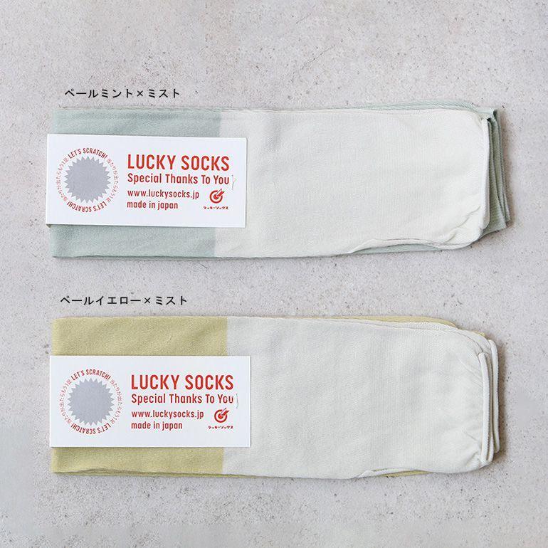 LUCKY SOCKS ラッキーソックス アームカバーツートン(ミスト) 全4色 | LUCKY SOCKS | 03