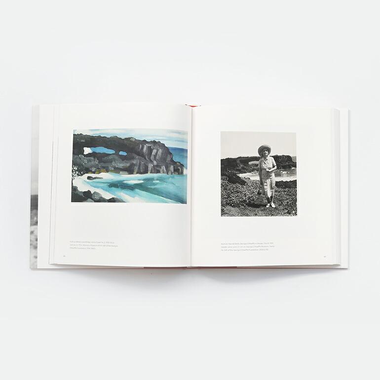 ジョージア・オキーフ 写真集 アートブック GEORGIA O'KEEFFE