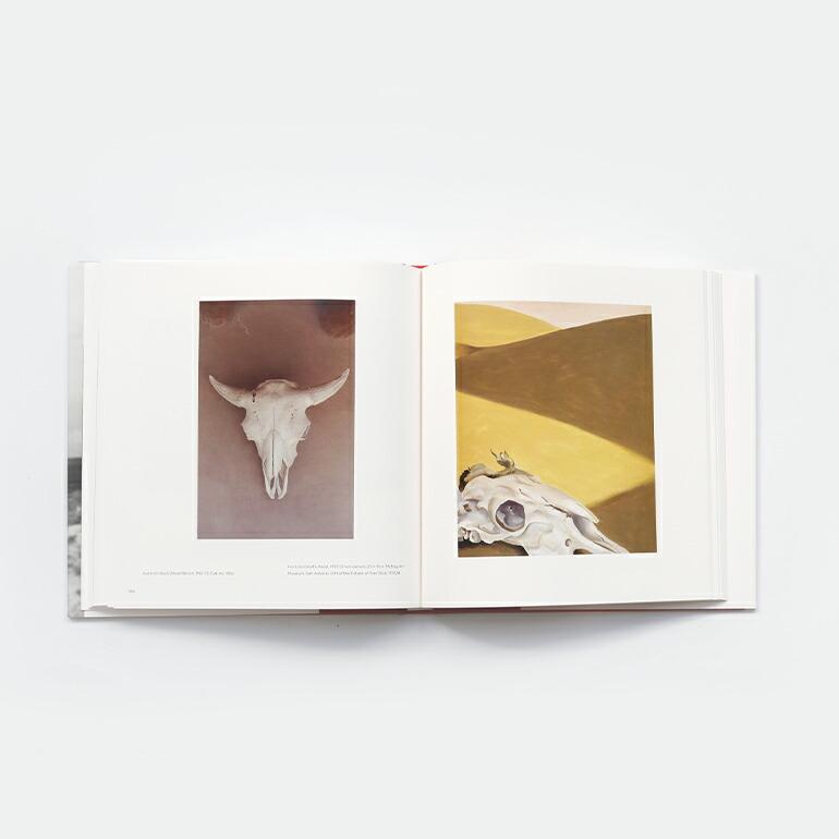 ジョージア・オキーフ 写真集 アートブック GEORGIA O'KEEFFE