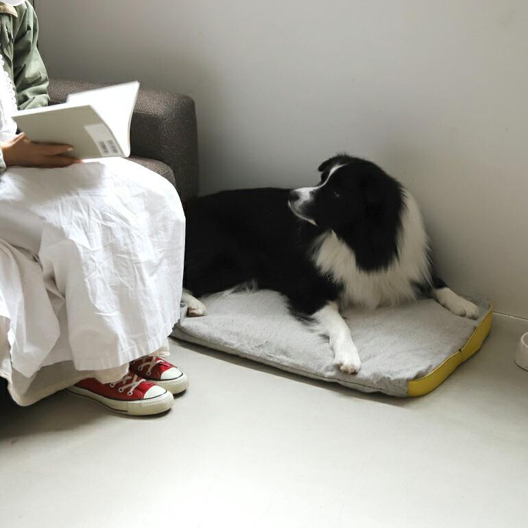 ペットベッド クッション 大判 プエブコ PUEBCO CUSHION FOR HUMAN AND PET | PUEBCO | 03