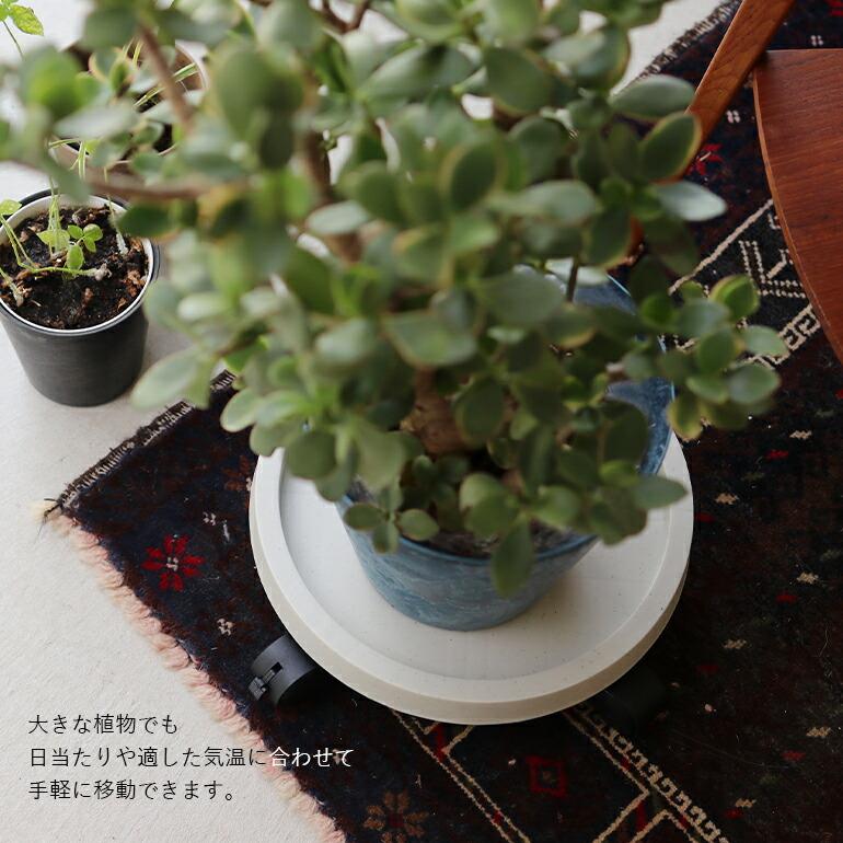 トレー キャスター プランター 円形 アマブロ amabro プランツトレー PLANTS TRAY | amabro | 05