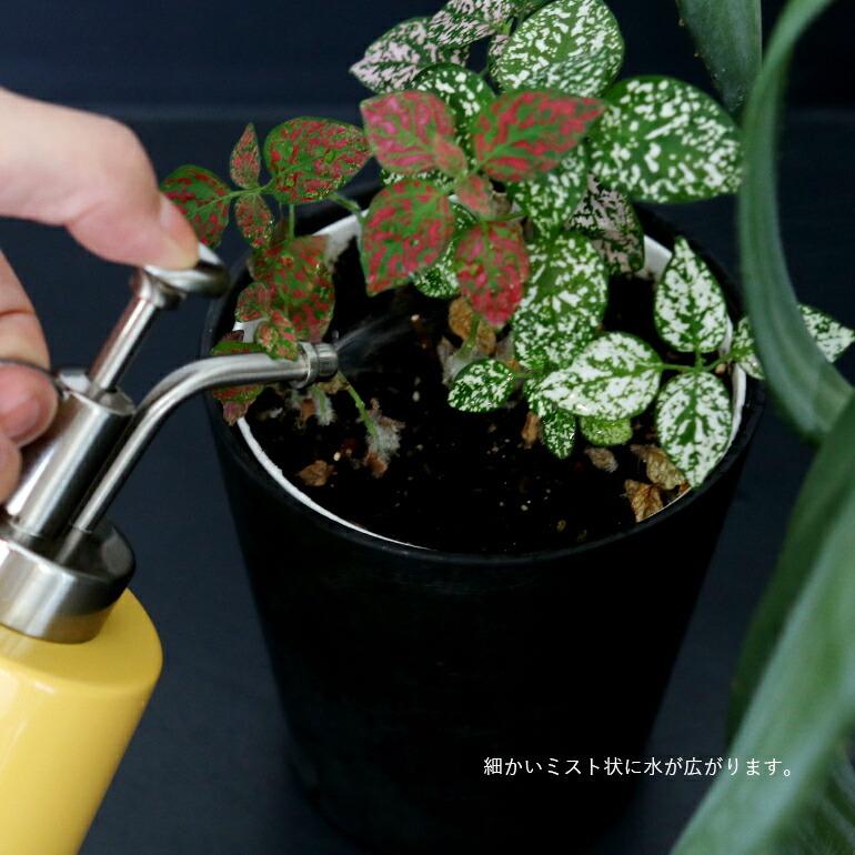 霧吹き スプレーボトル 噴霧器 植物 園芸 アマブロ amabro リトルスプレイヤー LITTLE SPRAYER | amabro | 06