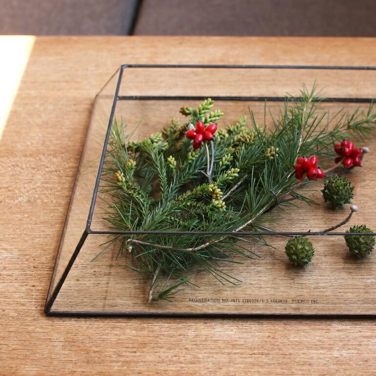 ディスプレイケース ステンドグラス インテリア PUEBCO プエブコ ピラミッド おしゃれ STAINED GLASS PLANT DISPLAY | PUEBCO | 03