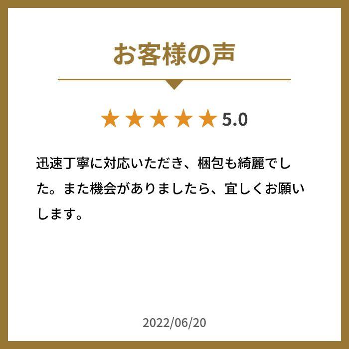 スニーカー キャンバスシューズ ローカット レースアップ 歩きやすい カジュアル レディース  スロバキア製  INN-STANT インスタント old-rats 全3色 | INN-STANT | 16