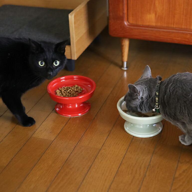 フードボウル 猫用食器 犬用食器 波佐見焼 HASAMI ハサミペット 猫 犬 えさ皿 磁器 電子レンジ 食洗機使用可能 16cm | ブランド登録なし | 12