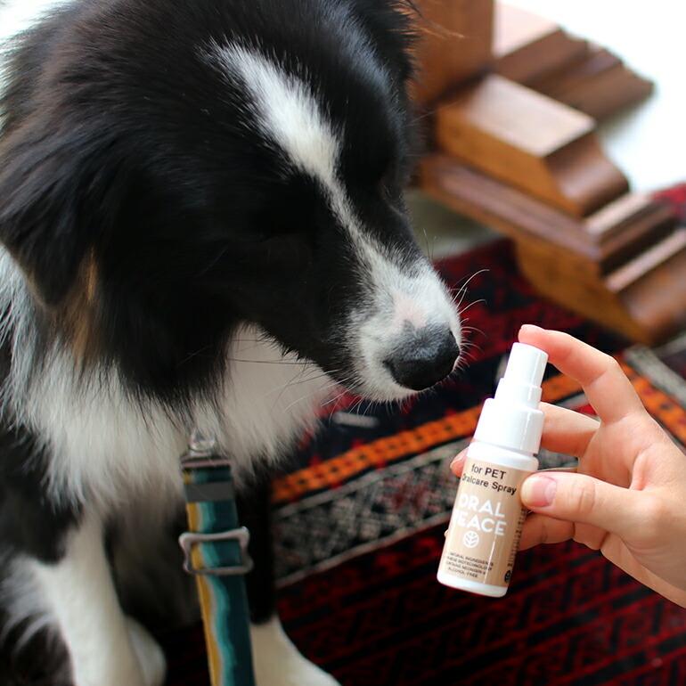 ペット マウスケア スプレー 30ml 2ヶ月分 口腔ケア ORALPEACE オーラルピース Oralcare Spray for PET | ORALPEACE | 01